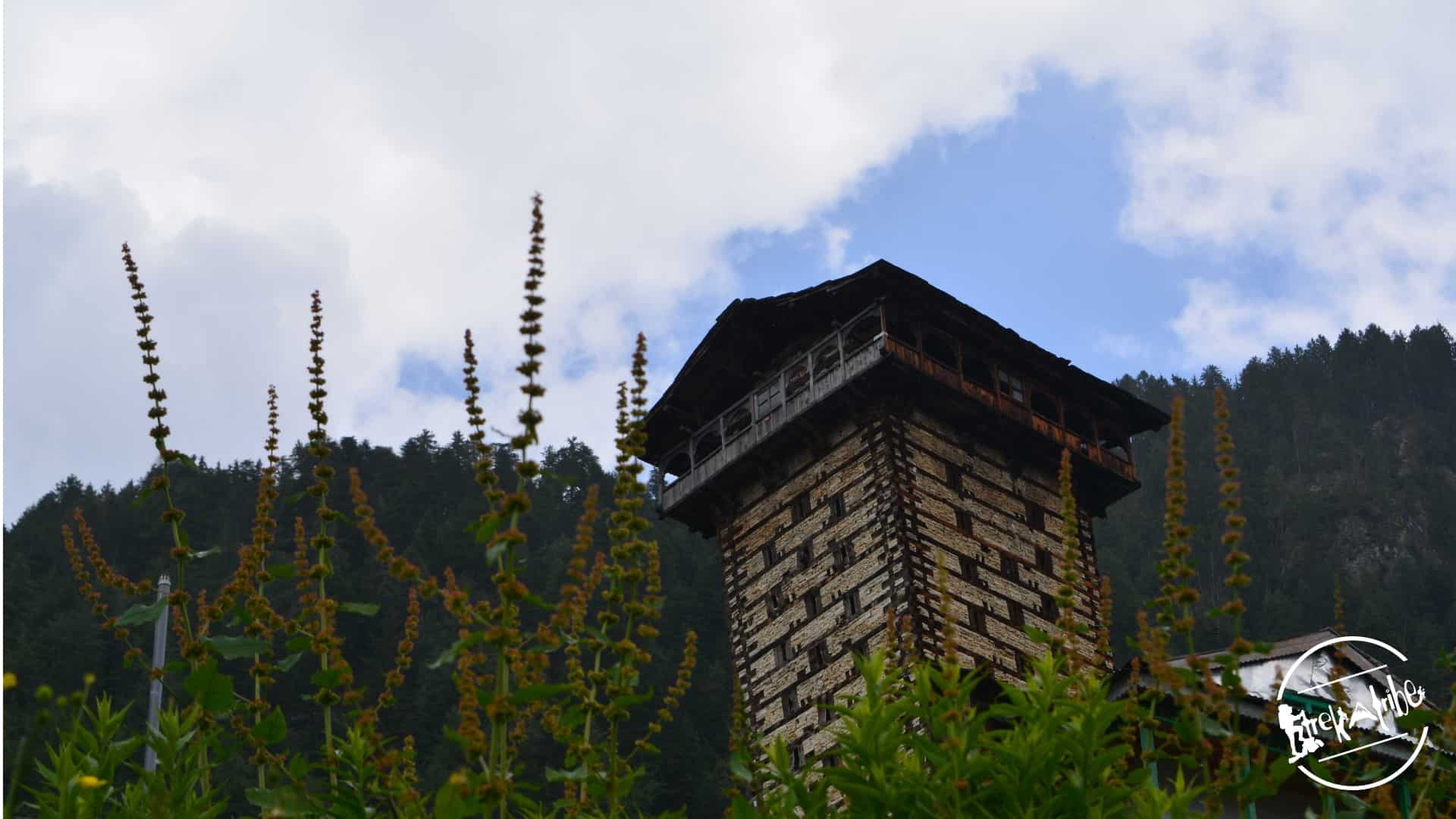 Tirthan Valley Circuit Road Trip (2)